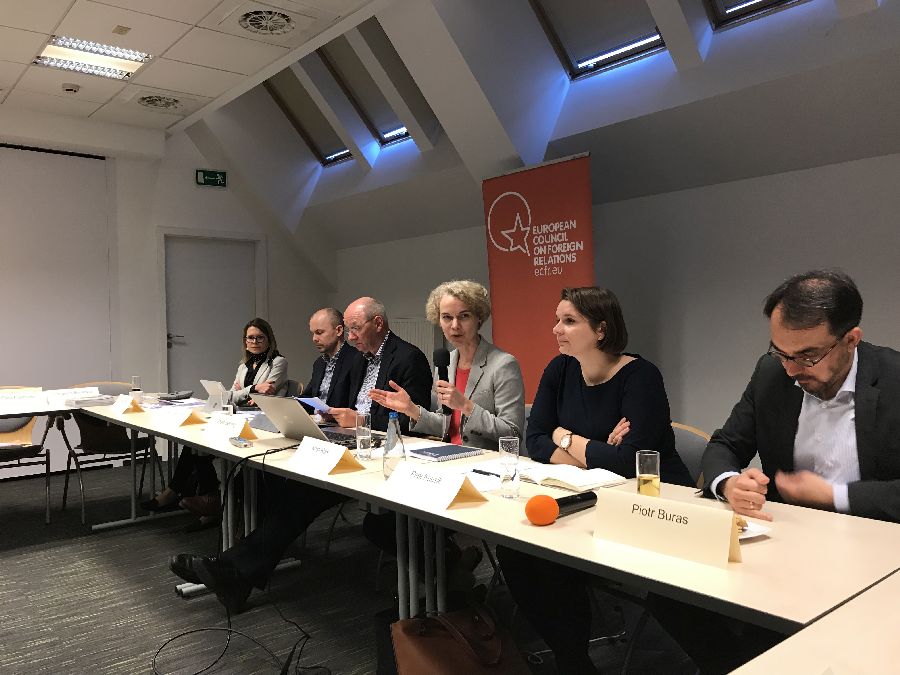 Image for Exploring New Coalitions in the EU-27: Poland and Nordic-Baltic Cooperation